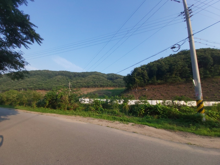 충남 공주시 유구읍 명곡리 산25 임야 경매 물건 사진