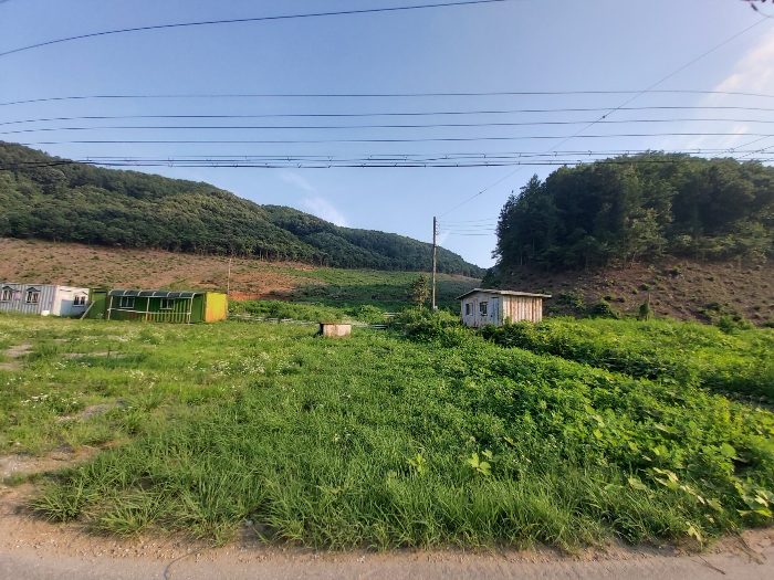 충남 공주시 유구읍 명곡리 산25 임야 사진 3