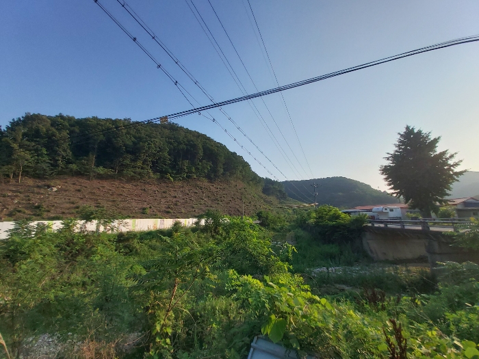 충남 공주시 유구읍 명곡리 산25 임야 사진 5