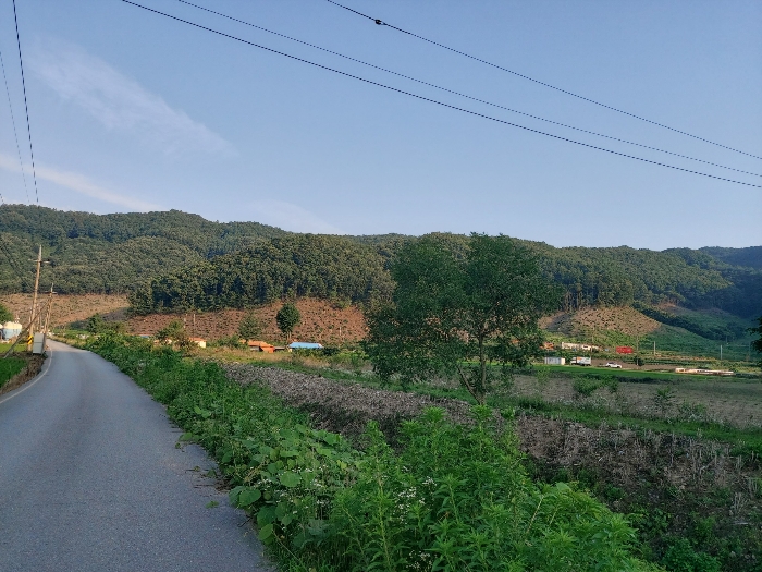 충남 공주시 유구읍 명곡리 산25 임야 사진 6