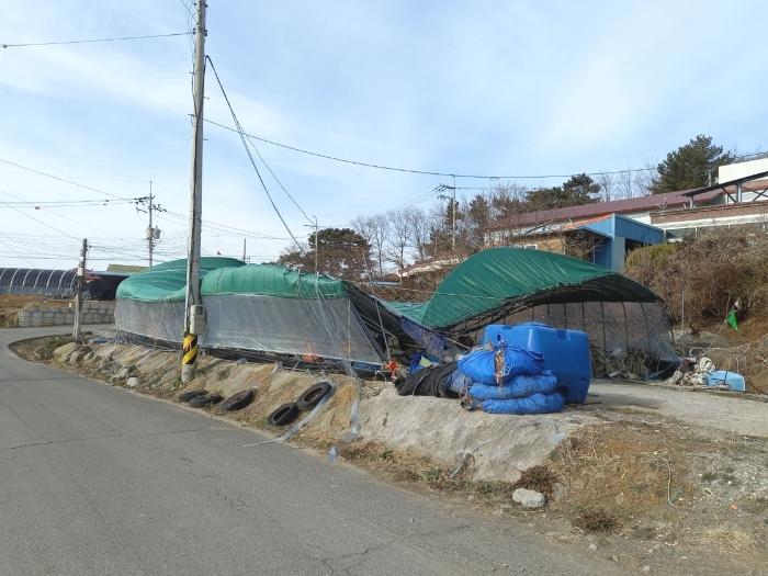 충남 서천군 비인면 다사리 26-7 주택 경매 물건 사진