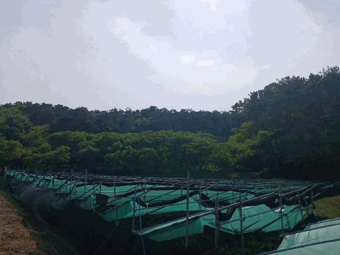 충남 공주시 이인면 신영리 458-10 임야 사진 3