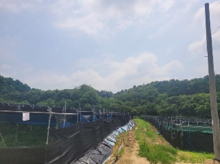 충남 공주시 이인면 신영리 458-10 임야 사진 5
