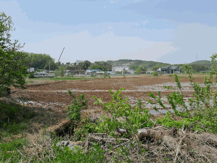 충남 당진시 송악읍 월곡리 57-1 답 사진 2