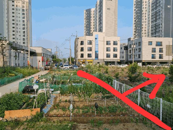 충남 천안시 동남구 목천읍 운전리 569 숙박시설 사진 4