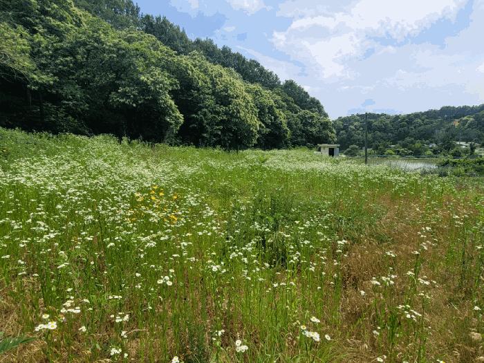 충남 공주시 우성면 상서리 406 전 사진 2